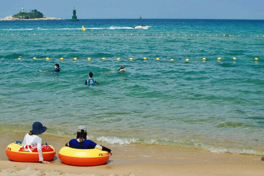 Seoul: Sokcho beach, market, hot spring and Seorak Cable Car - Eating your way through Sokcho Tourist and Fishery Market