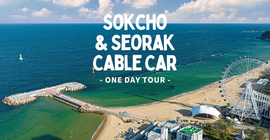 Seoul: Sokcho beach, market, hot spring and Seorak Cable Car - What the guide adds to a long day