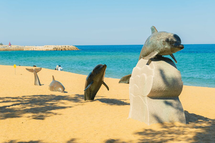 Seoul: Sokcho beach, market, hot spring and Seorak Cable Car - Who will get the most from this experience