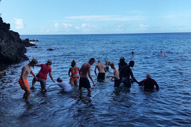 Shoreside Fun-Day with Titou Gorge, Hot Springs & Champagne Reef - Swimming Through Titou Gorge