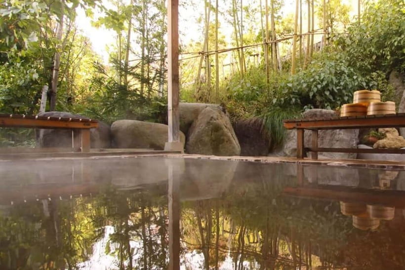 Snow Monkeys & Ghibli Onsen Town with Free Time to Explore - Should you book the Snow Monkeys and Shibu Onsen tour?