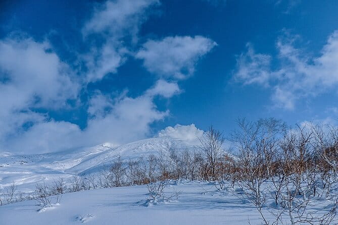 Snowshoe Adventures and Onsen Bliss Winter Escape in Furano - Why this Furano winter outing feels different