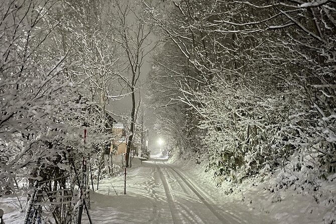 Snowshoeing and Onsen Adventures in a Winter Wonderland -Sapporo. - Snowshoes, clothing, and what you must bring