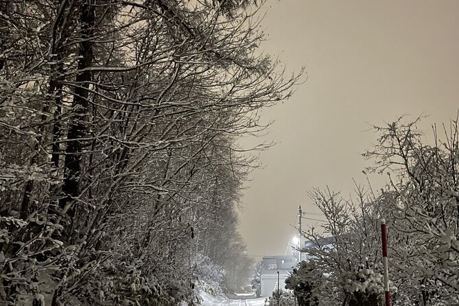 Snowshoeing and Onsen Adventures in a Winter Wonderland -Sapporo. - Lunch in a snowy forest