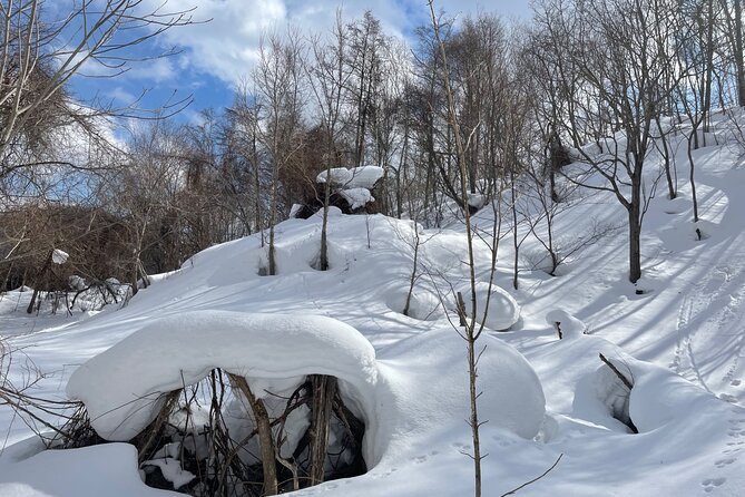 Snowshoeing and Onsen Adventures in a Winter Wonderland -Sapporo. - How much value do you get for $224.02?