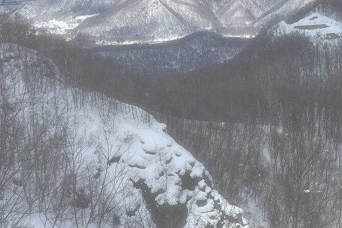 Snowshoeing and Onsen Adventures in a Winter Wonderland -Sapporo. - Who should book this snowshoe tour?