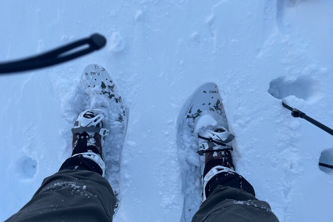 Snowshoeing and Onsen Adventures in a Winter Wonderland -Sapporo. - What Chris adds to the outing