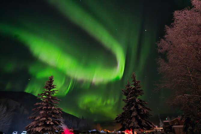 Spectacular Chena Hot Springs Northern Lights Experience - Dinner is the part you need to handle carefully