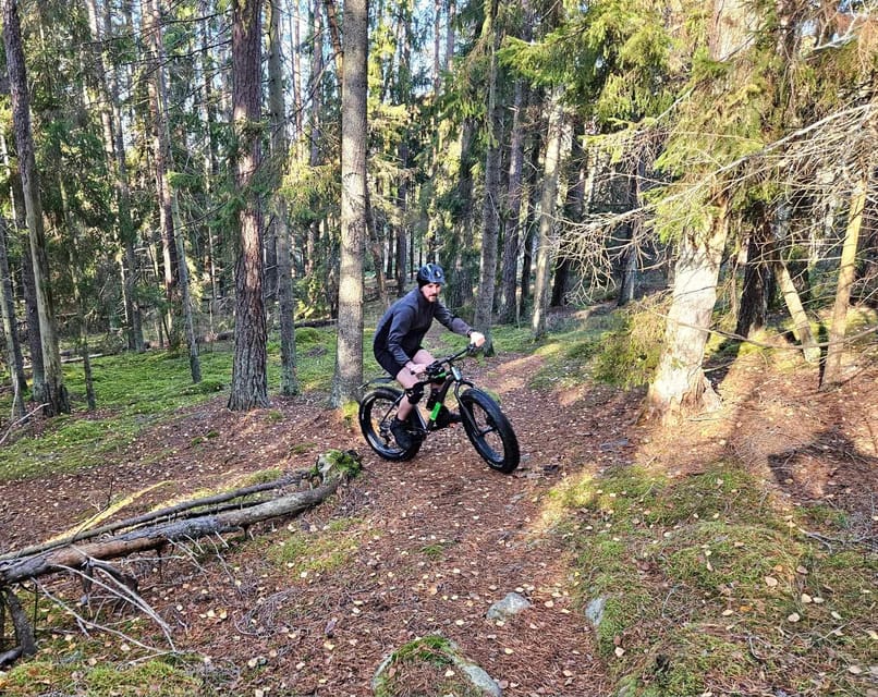 Stockholm: Fat Bike Forest Adventure with Lunch and Sauna - Practical details worth knowing