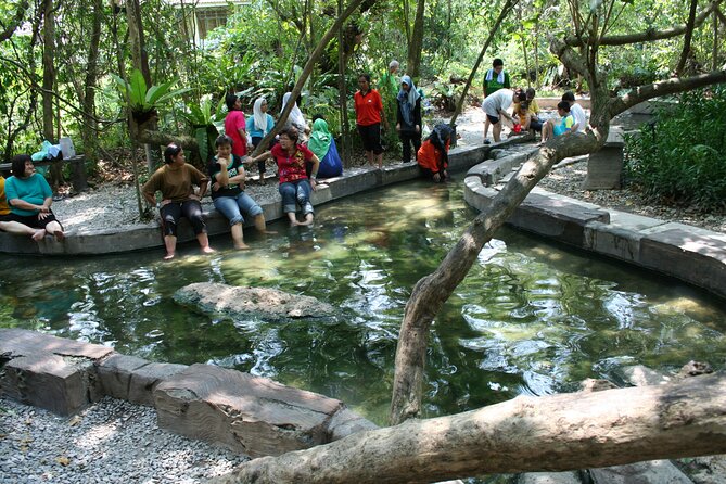 Sungkai Hot Springs & Nature Park Tour from Kuala Lumpur - Foot Reflexology and the Egg-Boiling Pool