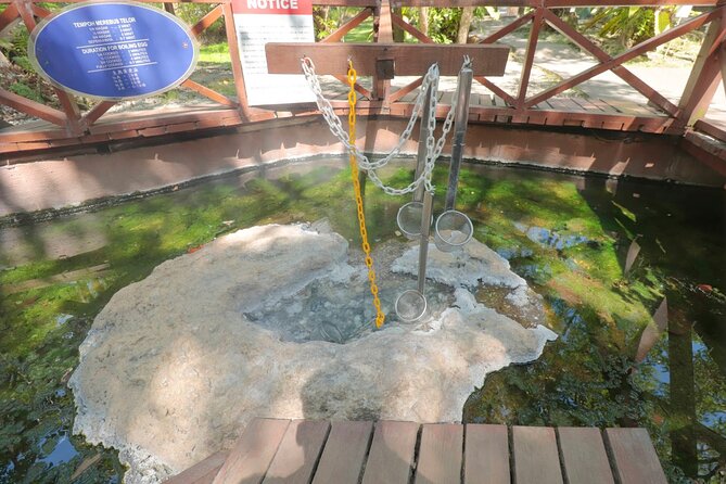 Sungkai Hot Springs & Nature Park Tour from Kuala Lumpur - A Short Walk Through Tropical Greenery