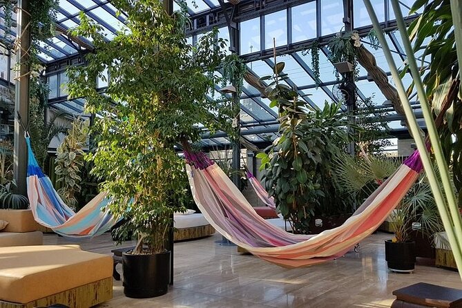 Széchenyi Thermal Spa Palm House Pass - Exclusive Area - Crowds, comfort, and the privacy question