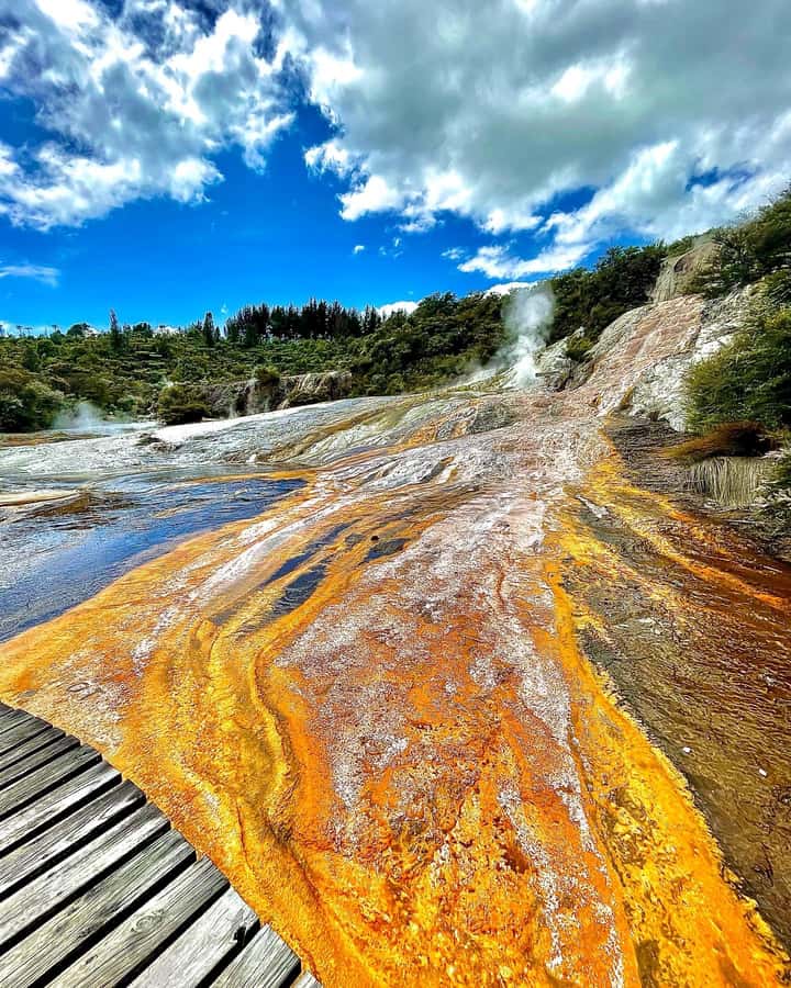 Taupo: Orakei Korako Geothermal Park and Cave Entry Ticket - A calm choice for families and dog owners
