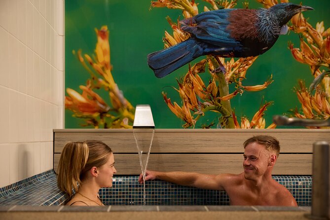 Tauranga: Mount Maunganui Hot Pools Experience - Should You Book the Mount Hot Pools?
