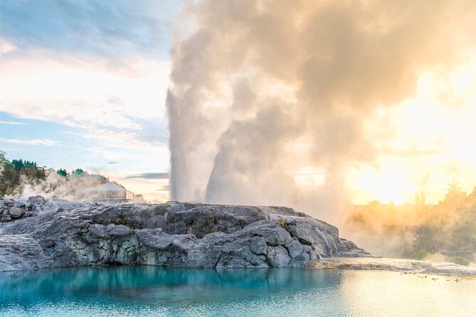 Te Puia Geothermal, Kiwi and Māori Art - From Tauranga port to Rotorua by small-group minibus
