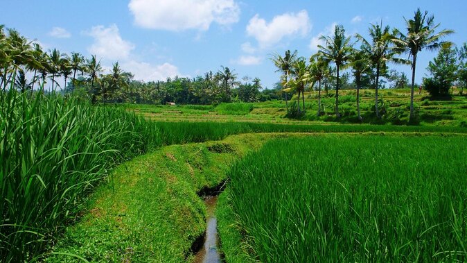 The Russian Bathhouse (banja) - Arriving near Ubud and finding the entrance