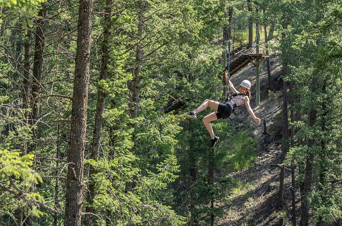 Thrilling 2-Hour Zipline Tour in Radium Hot Springs - The Columbia Valley Wetlands Viewpoint
