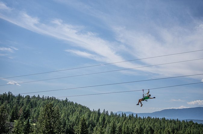 Thrilling 2-Hour Zipline Tour in Radium Hot Springs - What $85.30 Buys You