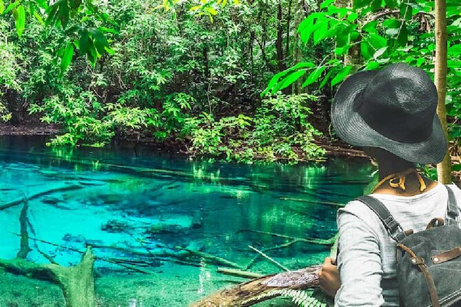 Tiger Cave Temple, Emerald Pool & Hot Springs Tour from Krabi - Quick take: what makes this day worthwhile