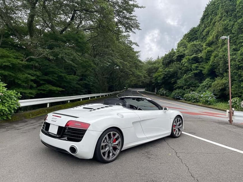 Tokyo: 1 Day JDM/Sports Car Tour to Hakone, Fuji, and Onsen - Hakone Turnpike and an hour of mountain curves