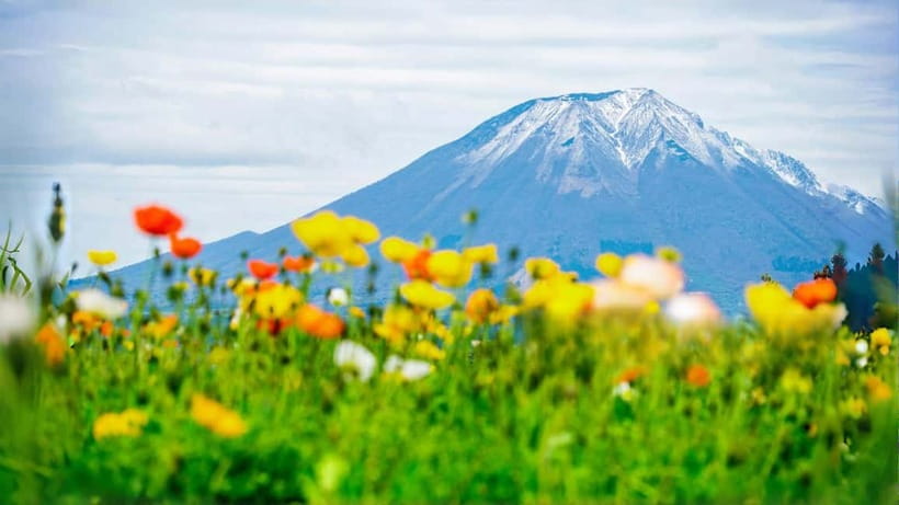 Tokyo: Mount Fuji 5th Station & Onsen Day Trip - Key points to know before booking