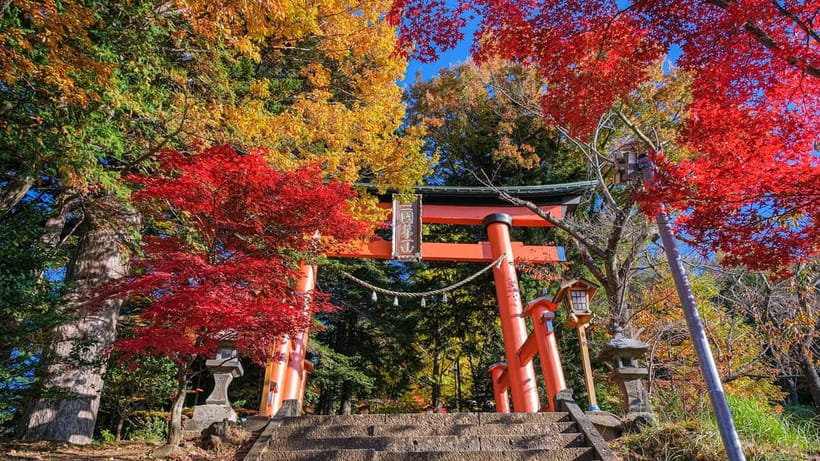Tokyo: Mount Fuji 5th Station & Onsen Day Trip - Guide quality and group management