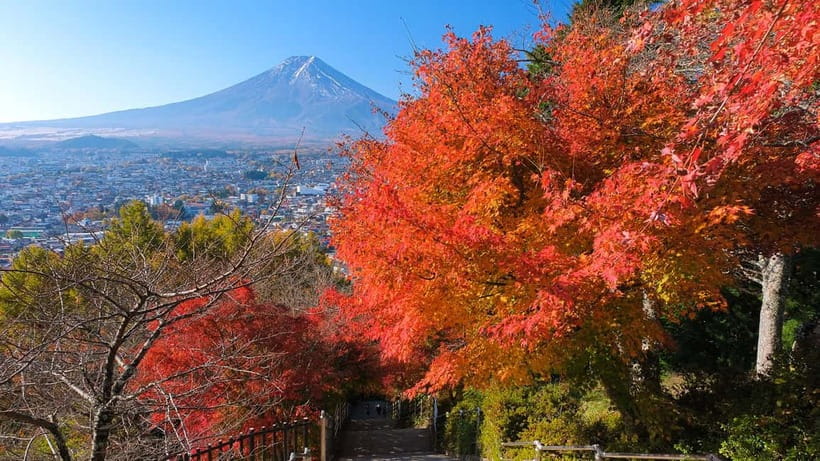 Tokyo: Mount Fuji 5th Station & Onsen Day Trip - Who should book this Fuji day trip?