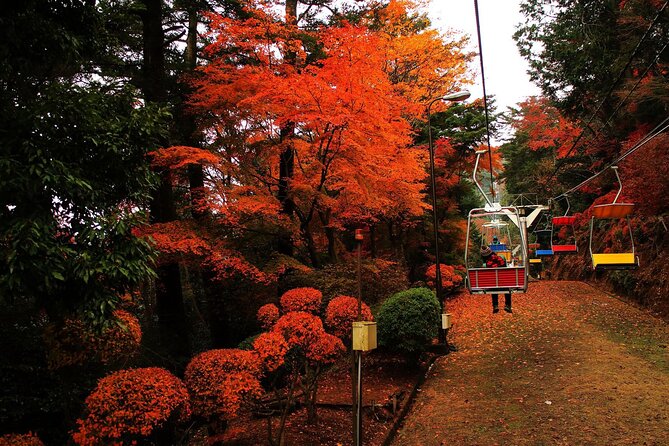Tokyo: Mt Takao Tour with Ramen and Tattoo-Okay Hot Spring - The quick take