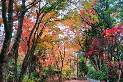 Mt Takao Tour with Ramen and Tattoo-Okay Hot Spring