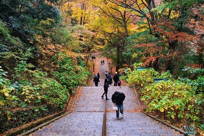 Tokyo: Mt Takao Tour with Ramen and Tattoo-Okay Hot Spring - Riding the cable car or chair lift uphill