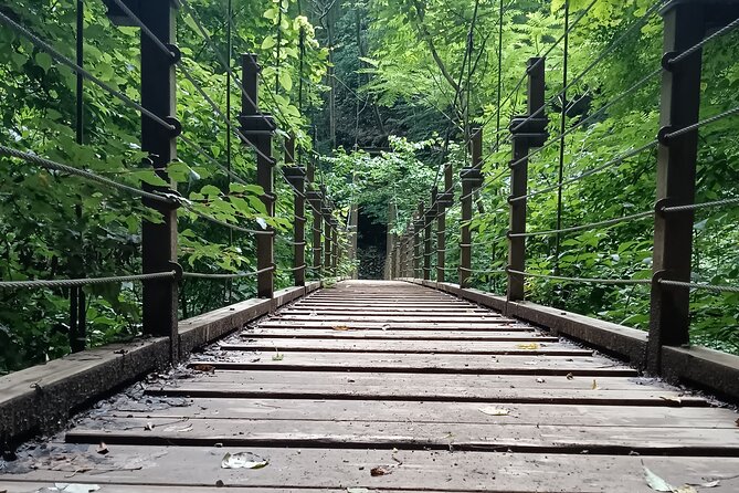 Tokyo: Mt. Takao Tour with Ramen and Tattoo-Okay Hot Spring - Taking the suspension bridge downhill