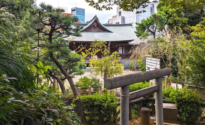 Tokyo: Private Morning Run with Sento Bath Experience - Yoyogi Park and the green side of Harajuku