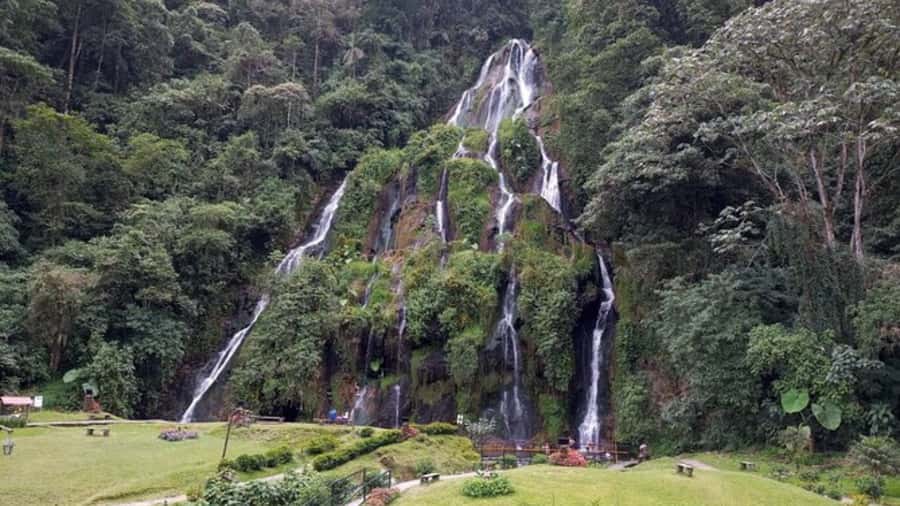 Tour Santa Rosa hot springs from Pereira, Armenia or Salento - From Pereira, Armenia, or Salento to the springs