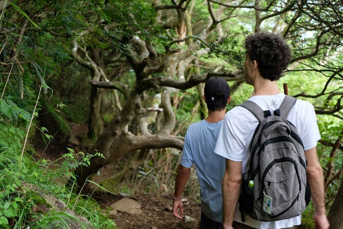 Traverse Outer Rim of Hakone Caldera and Enjoy Onsen Hiking Tour - The 30-minute descent toward Lake Ashinoko