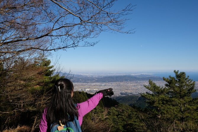 Traverse Outer Rim of Hakone Caldera and Enjoy Onsen Hiking Tour - Lunch near Togendai, with several styles to choose from