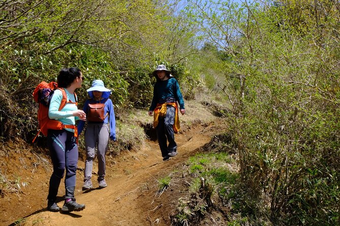 Traverse Outer Rim of Hakone Caldera and Enjoy Onsen Hiking Tour - An indoor and outdoor onsen to finish the day