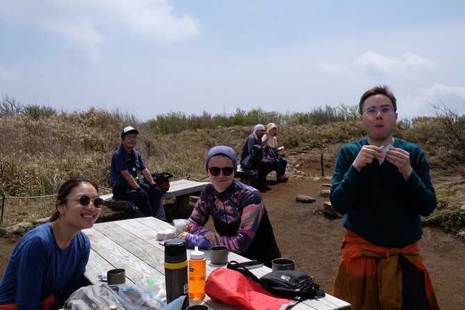 Traverse Outer Rim of Hakone Caldera and Enjoy Onsen Hiking Tour - Who should book this Hakone hike?