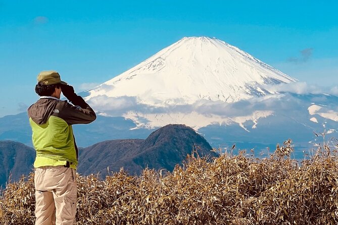 Traverse Outer Rim of Hakone Caldera and Enjoy Onsen Hiking Tour - The first 90 minutes: a serious climb from Sengokuhara