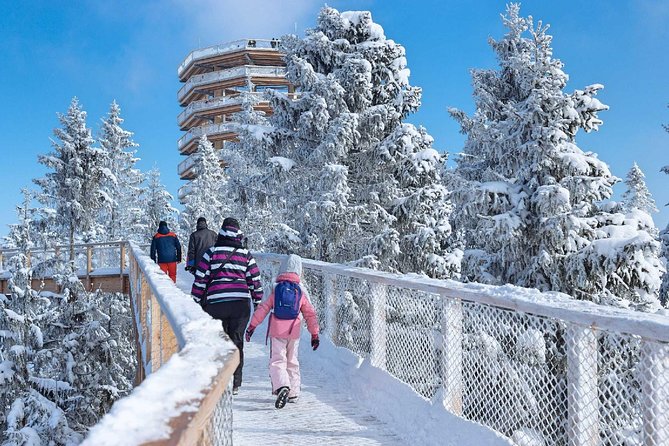 Treetop Walk in Slovakia and Thermal Baths from Krakow - Bachledka Treetop Walk and the Tatra views