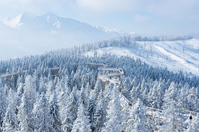 Treetop Walk in Slovakia and Thermal Baths from Krakow - Who should book this experience