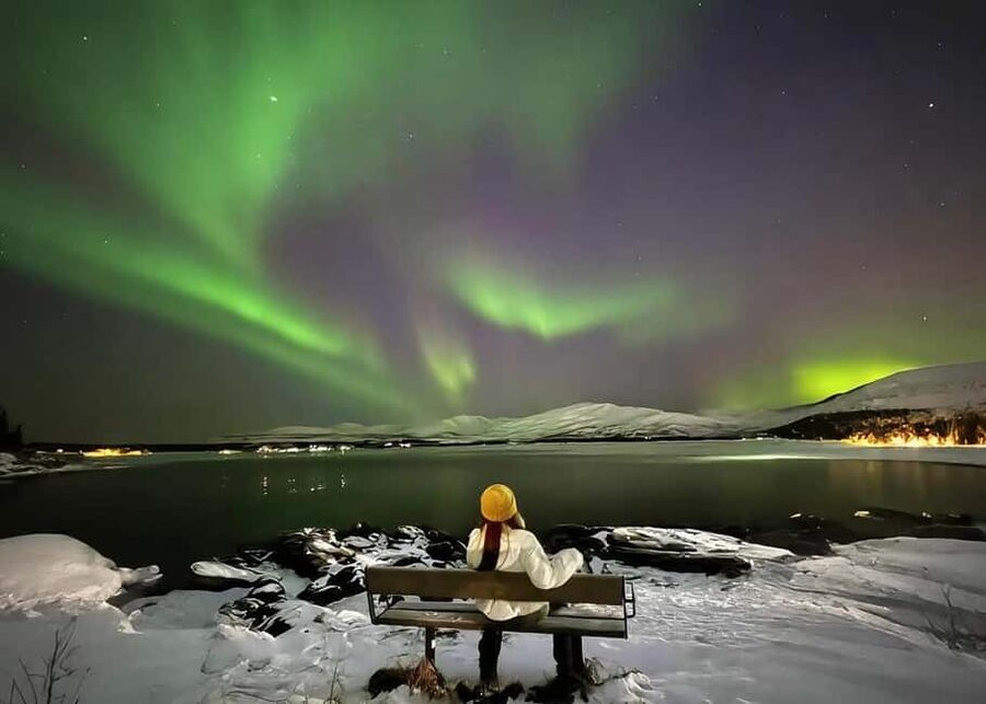 Tromsø: Live Like a Local - Floating and Sauna - Floating in a thermal suit on the Arctic Ocean