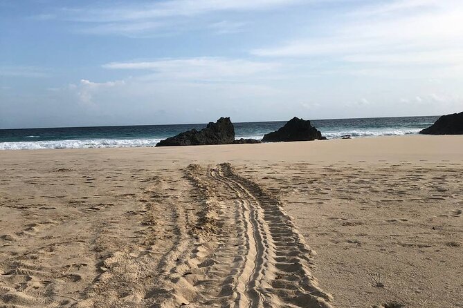 Turtle Tales of Pulau Banyak - Fitness, Timing, and Comfort