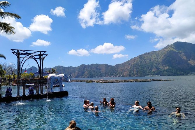 Ubud Hot Springs and Waterfall Private Guided Tour - Tegalalang gives you two different stops