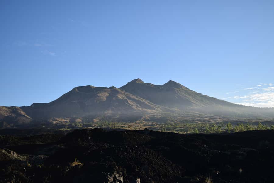 Ubud & Volcano Hot Springs Tours - Bali Temen Coffee Plantation: learning how coffee reaches the cup