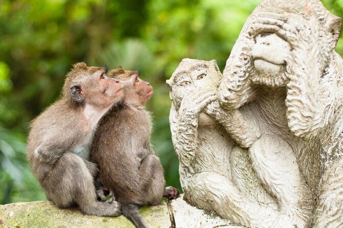 Ubud Volcano Lake and Natural Hot Spring Tour - Key points to know before booking