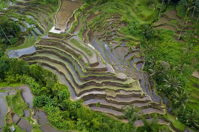 Ubud Volcano Lake and Natural Hot Spring Tour - Batur Natural Hot Spring: your best chance to slow down