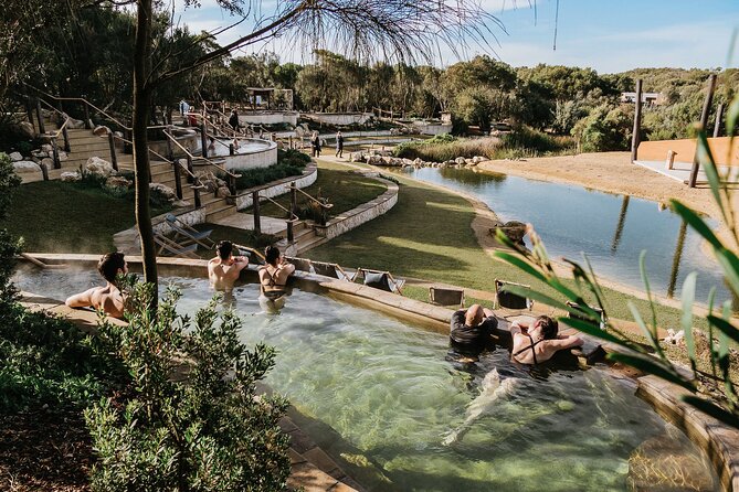 Ultimate Peninsula Adventure: Stand Up Paddle, Hot Springs, Hike, Lunch & Winery - Picnic lunch with a view