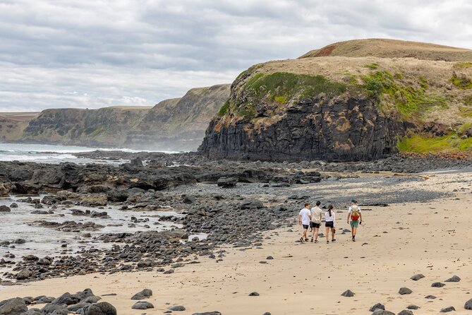 Ultimate Peninsula Adventure: Stand Up Paddle, Hot Springs, Hike, Lunch & Winery - What the $207.28 price really covers