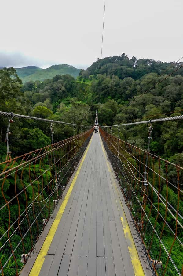 Volcano, Hot Spring, Mud Bath & Tea plantation all included - Why this Bandung day trip works