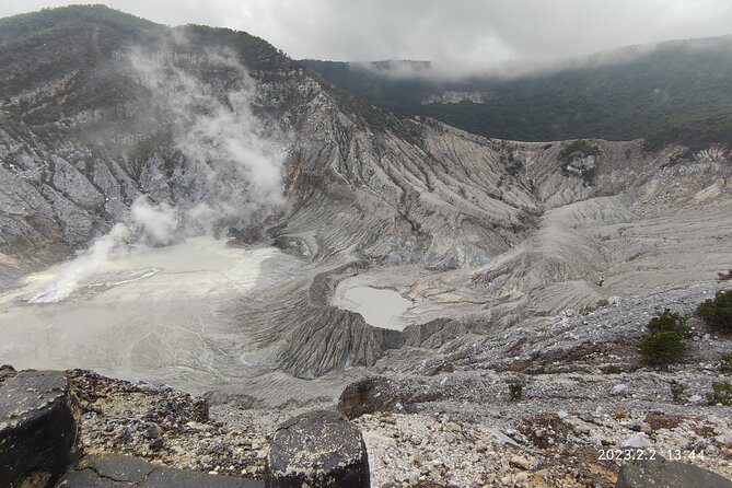 Volcano, Hot Spring, Tea Factory, rice fields and Coffee Tour - Rice fields in Subang: the most personal stop